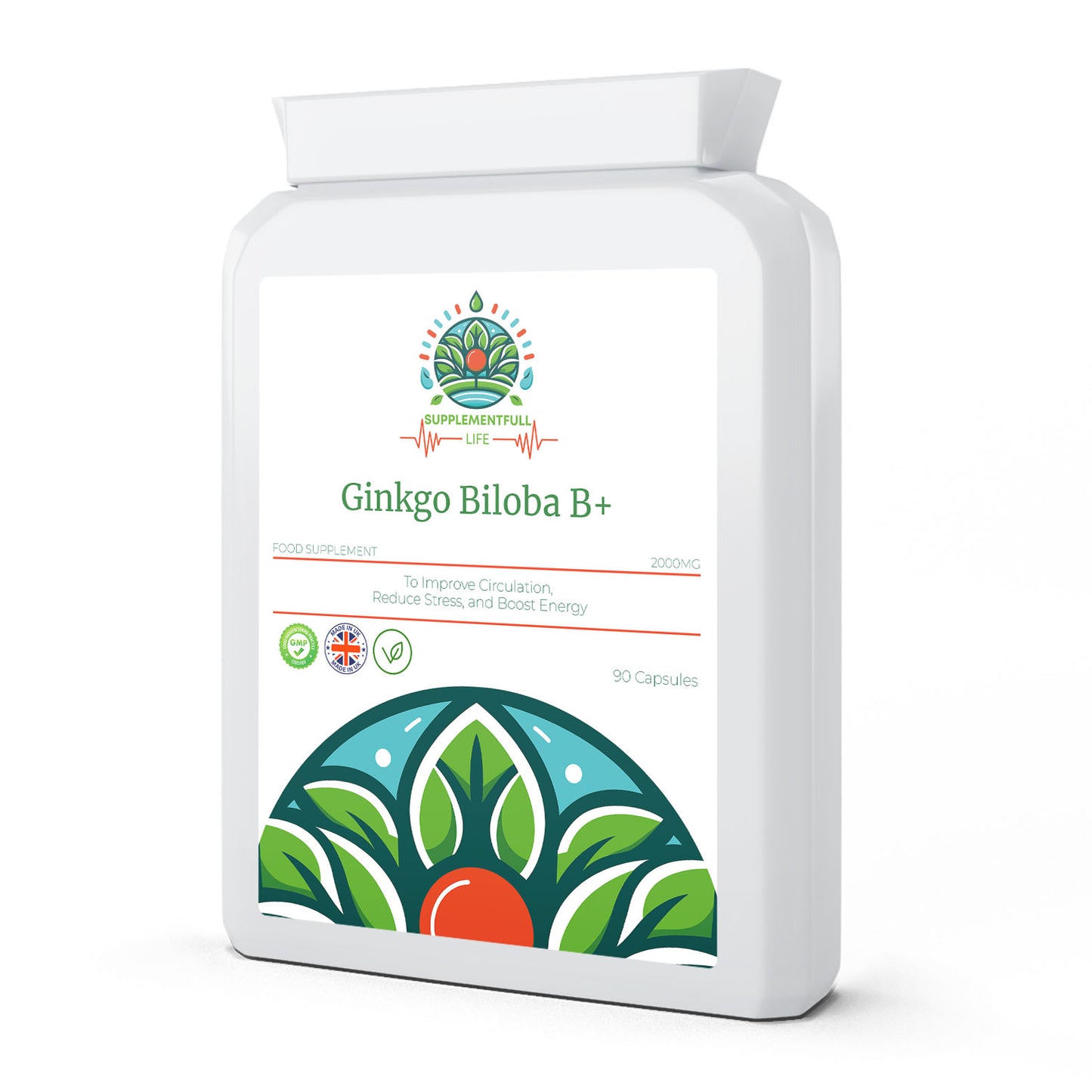 Ginkgo Biloba B+