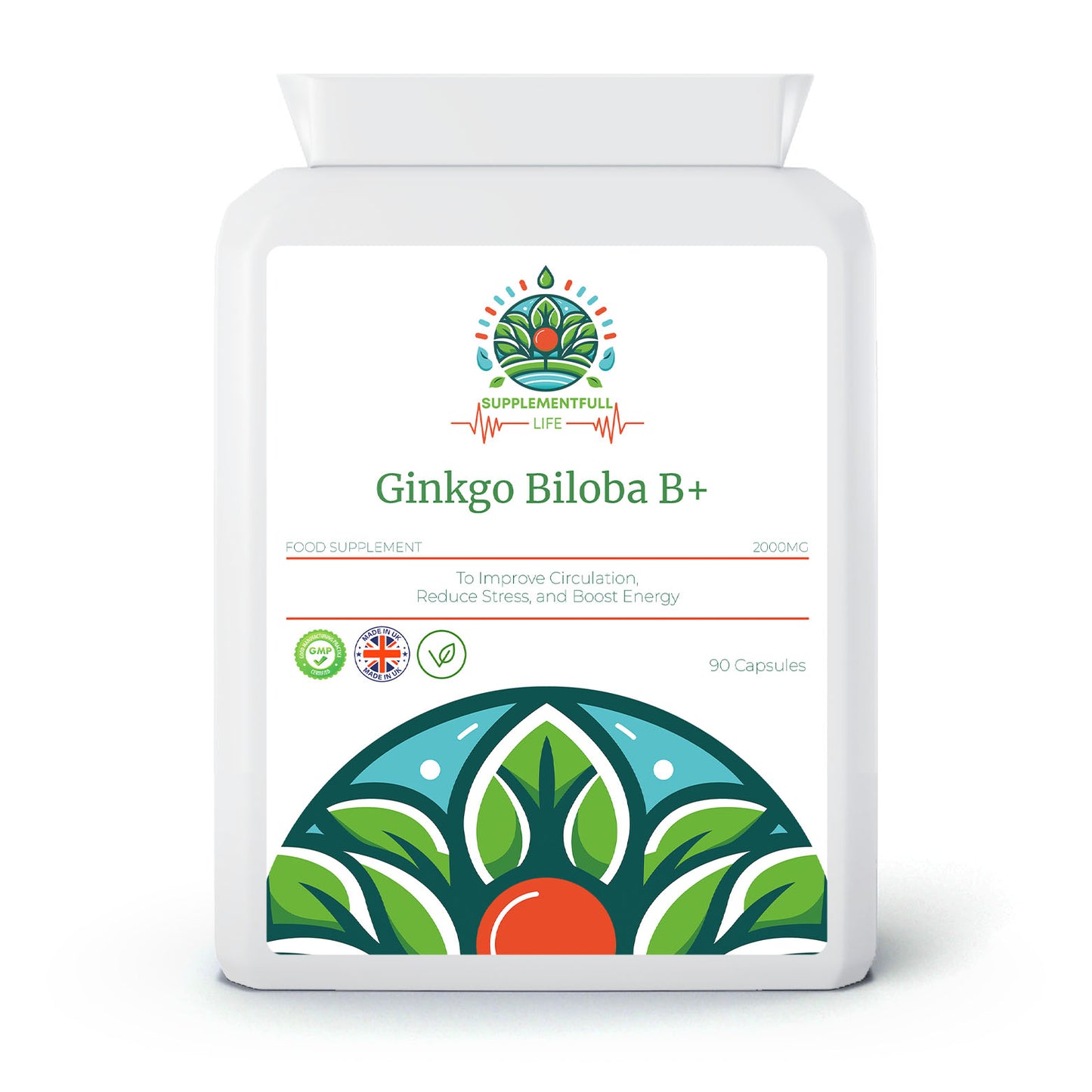 Ginkgo Biloba B+